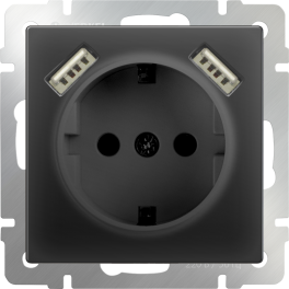 Розетка с заземлением, шторками и USBх2 / WL08-SKGS-USBx2-IP20 (черный матовый)