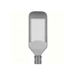 Светильник консольный SP2921 30LED*30W - 6400K  AC230V/ 50Hz серый 300*130*50мм IP65 Feron