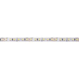 Светодиодная LED лента LS502, 180SMD(2835)/м 16Вт/м 24V 5000*10*1.22мм 6000К IP20  Feron