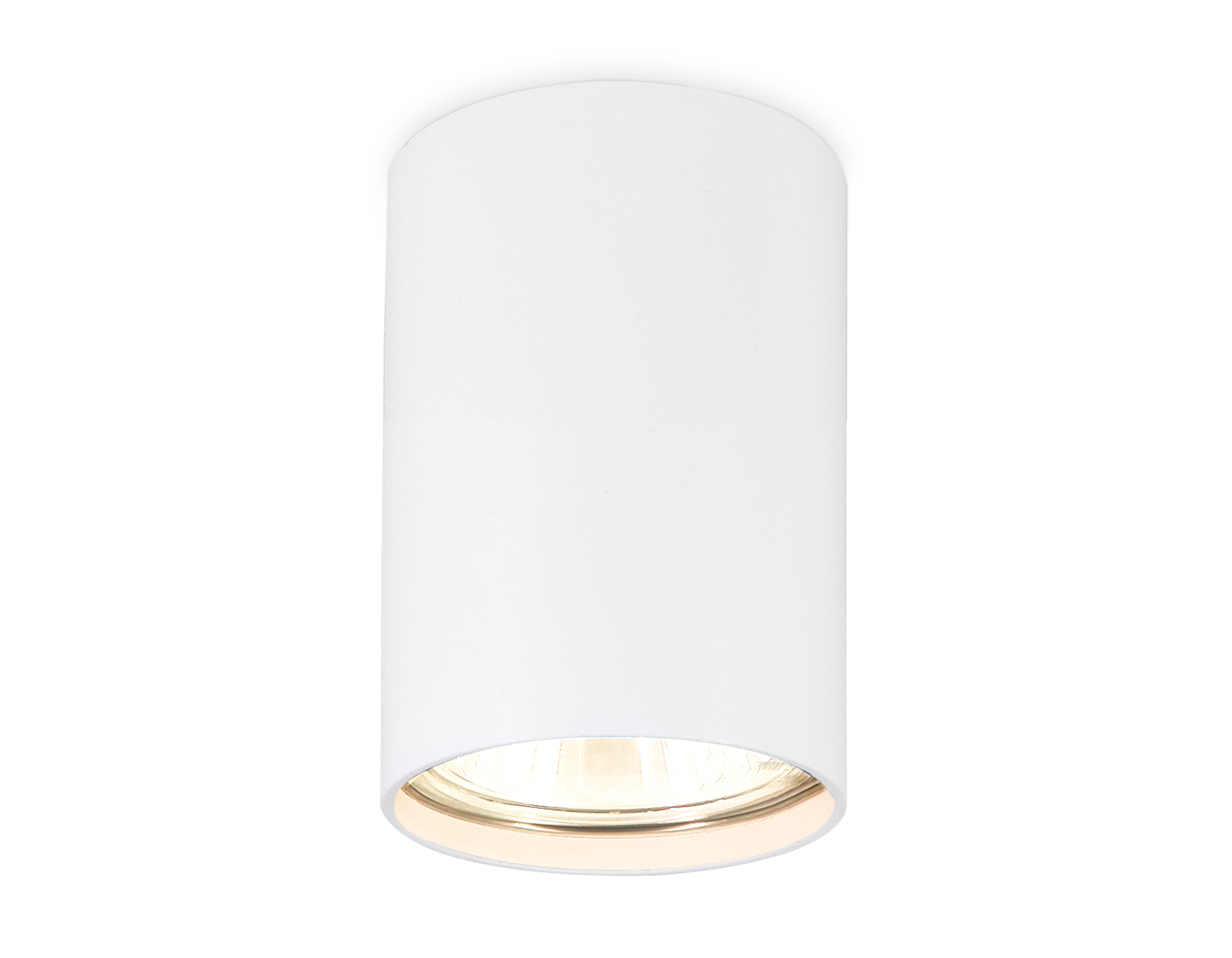 Накладной точечный светильник TN213101 WH белый GU5.3 Ambrella light