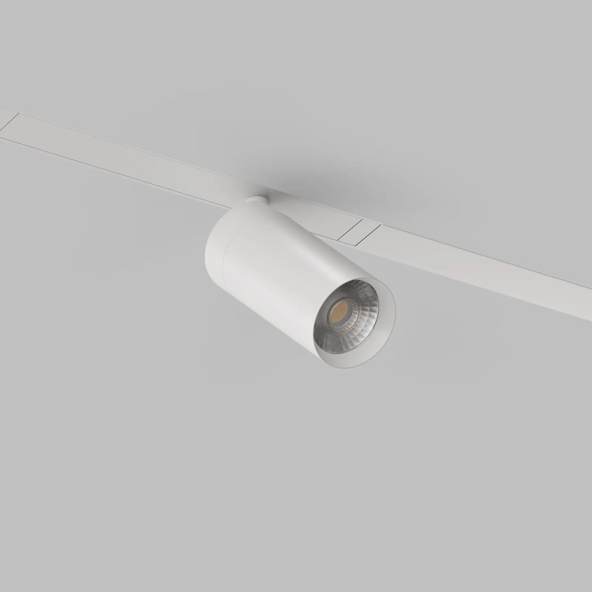 Трековый светильник DK8010-WH Denkirs