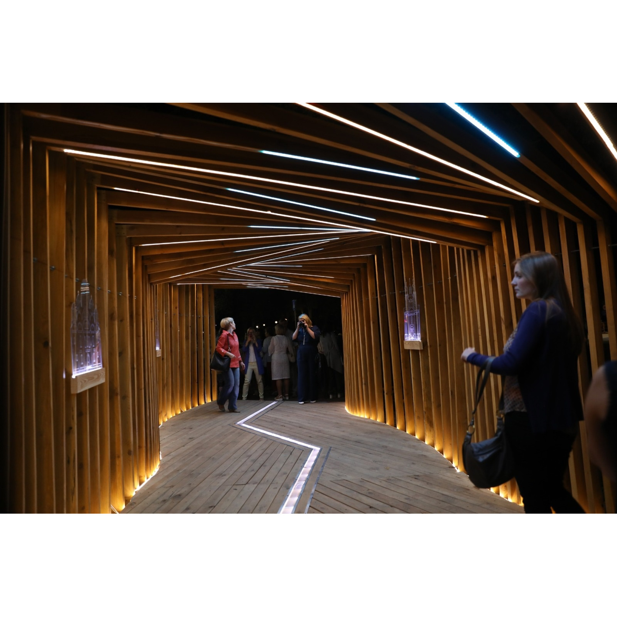 Лента светодиодная LUX, 3528, 120 LED/м, 9,6 Вт/м, 24В, IP65, Холодный белый (6000K) 1м. SWG