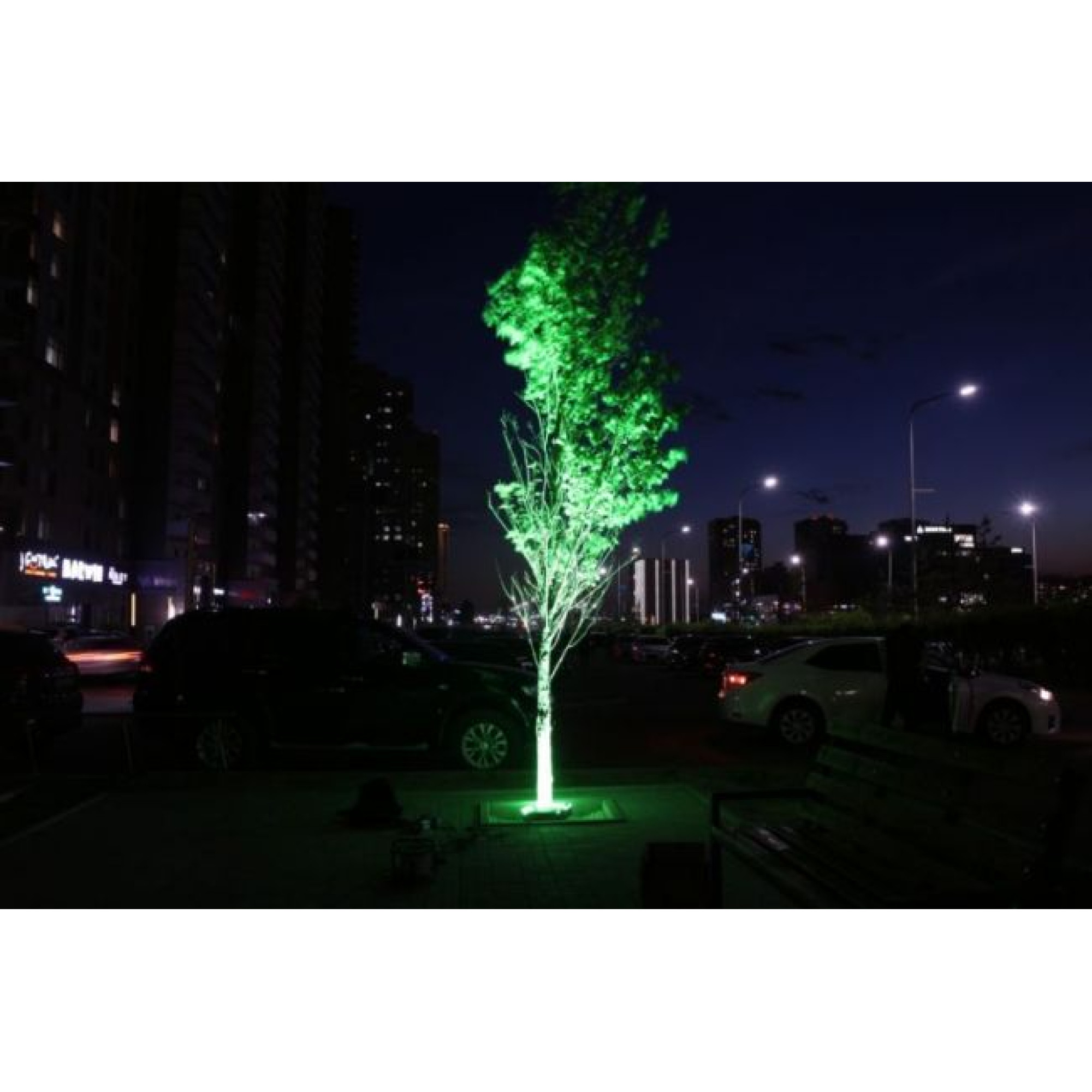 Прожектор архитектурный FCT 220В 18Вт Зелёный 30° SignImpress