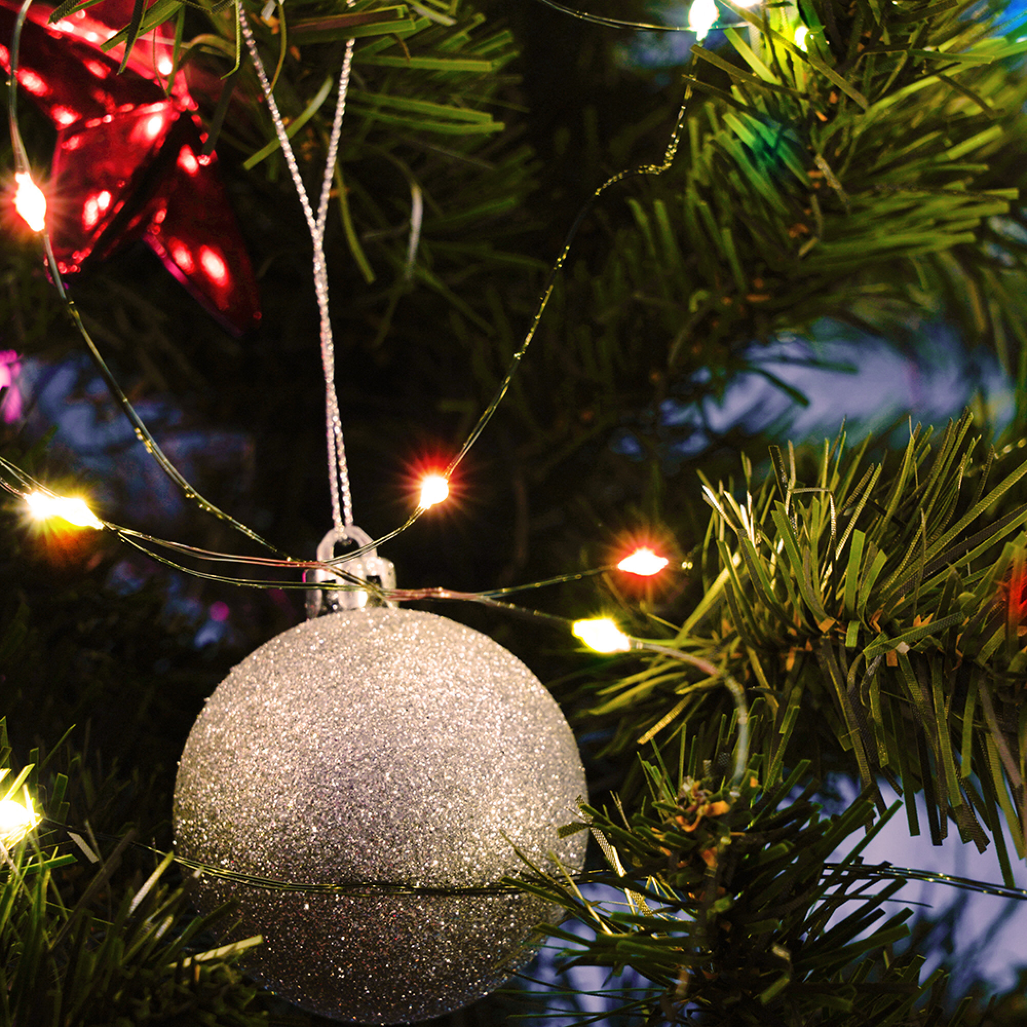 Светодиодная гирлянда CL583 линейная Роса (на проволоке) мульти c питанием от сети 220V 20м Feron