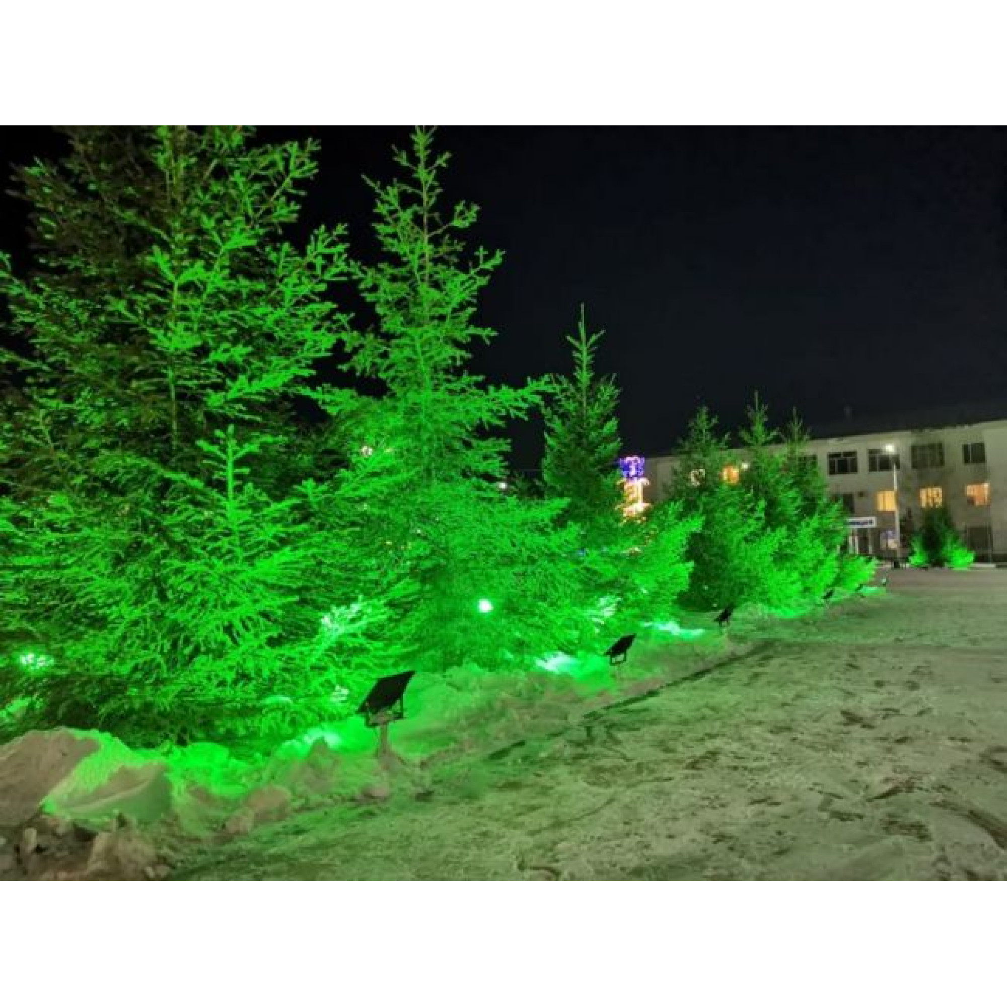 Прожектор светодиодный заливного света TGD 30Вт Зелёный SignImpress