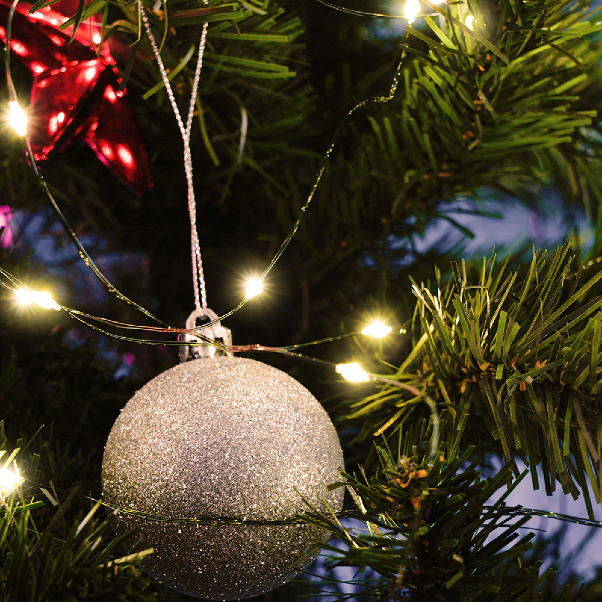 Светодиодная гирлянда CL583 линейная Роса (на проволоке) 2700К c питанием от сети 220V 20м Feron