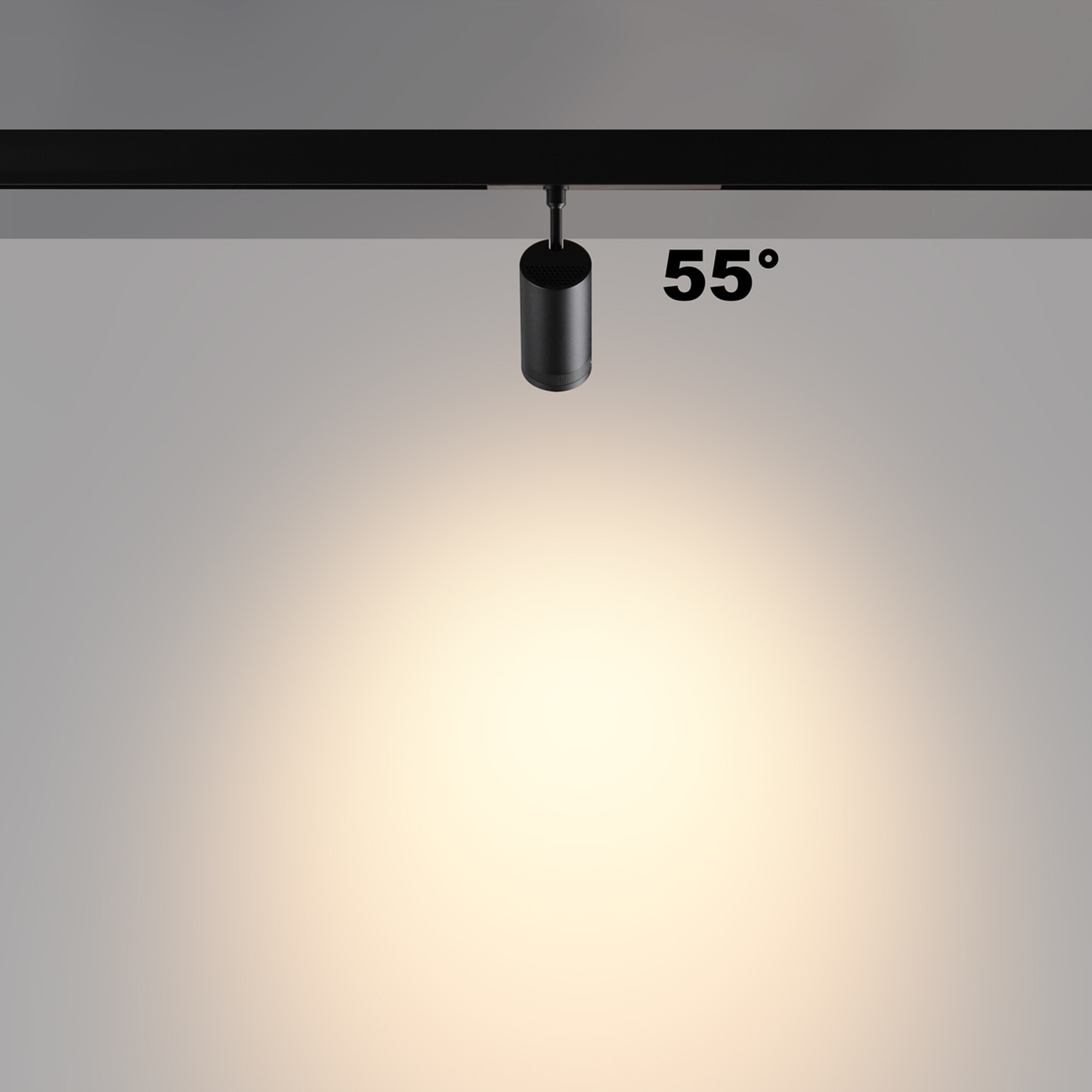 359961 PORT NT25 224 черный Трековый светильник с переключ. цв. темпер. IP20 LED 3000К4000К6000К 15W 90-240V VECTOR Novotech