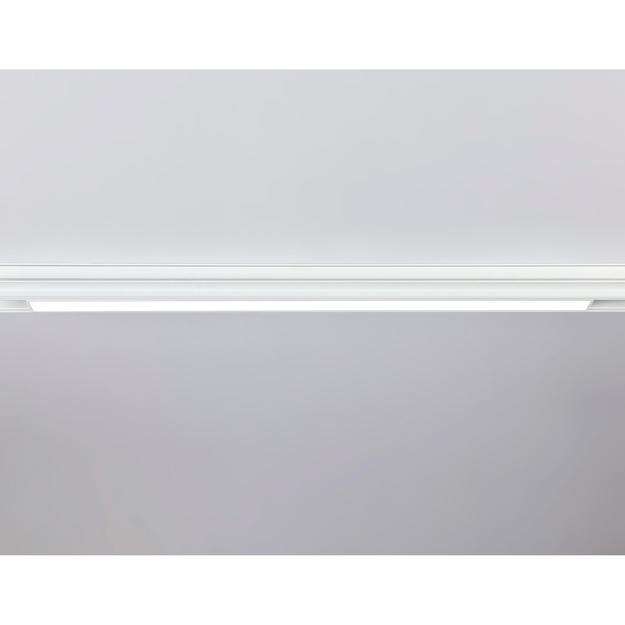 Светильник светодиодный трековый для шинопровода Magnetic GL4008 WH белый IP20 24W 4200K 48V Ambrell