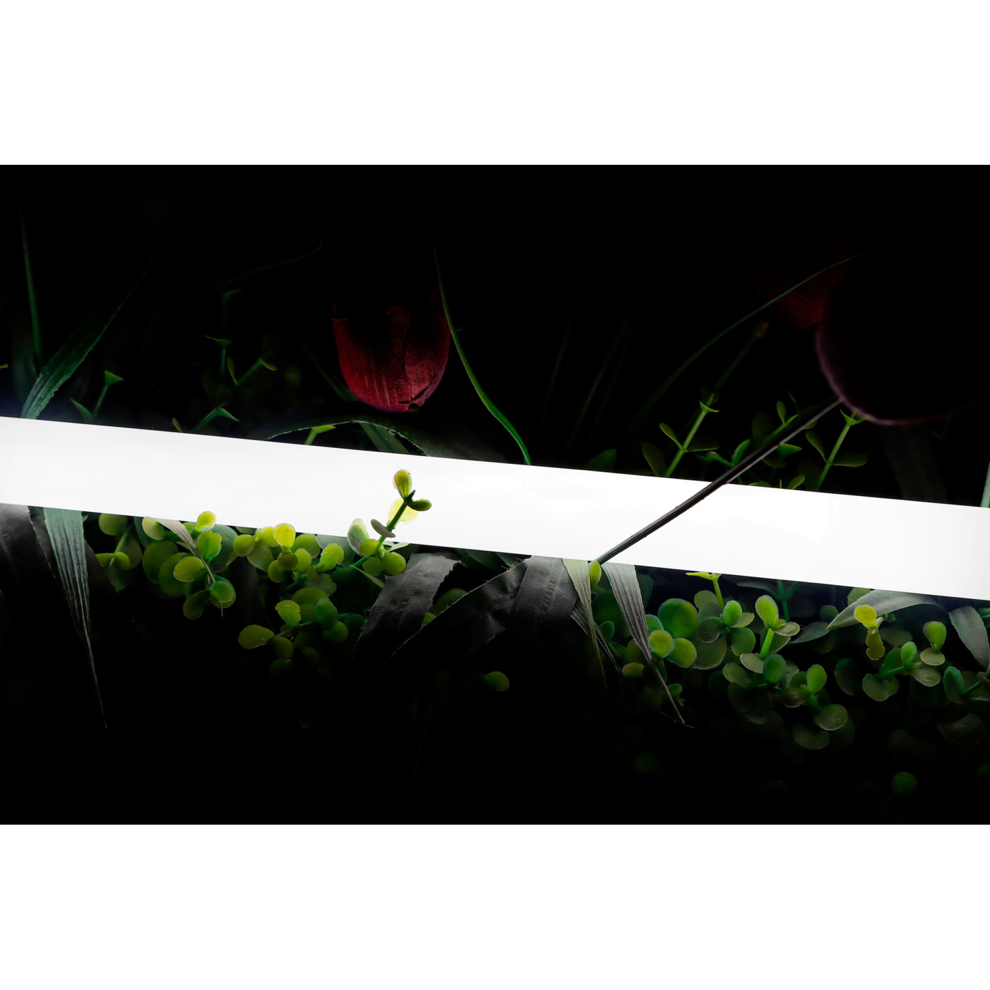 Лента светодиодная неоновая 2360-24-NW-66 360° SWG pro IP66 24В 16W/m 4000K (1метр) SWG