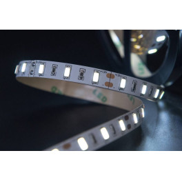 Лента светодиодная стандарт SMD5630 60LED/м 12Вт/м 12В IP20 Цвет:Холодный белый (1метр) SWG