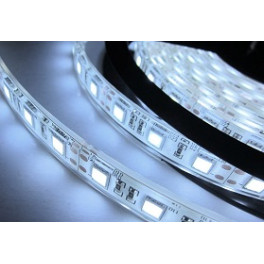 Лента светодиодная стандарт SMD5630 60LED/м 12Вт/м 12В IP20 Цвет:Нейтральный (1метр) SWG