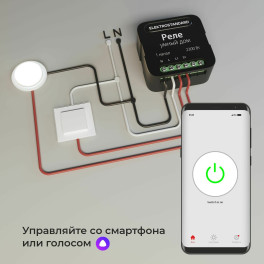 Умный дом реле черный 1 канал 2300W 76006/00 Elektrostandard