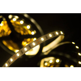 Лента светодиодная стандарт SMD5630 60LED/м 12Вт/м 12В IP20 Цвет:Нейтральный (1метр) SWG