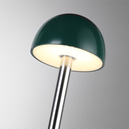 Уличный светильник 530мм акрил/металл IP65 LED 3W 95Лм 24V VERDE (нужен драйвер 357781/357782) 7122/4GL NATURE ODL26 653 Odeon Light