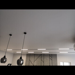 Светильник трековый SY 12W Черный 4000К  SY-601211-BL-12-NW SWG